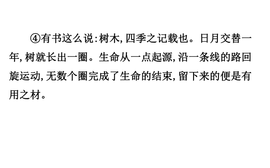 部编版语文中考复习第一节　之线索、主旨 课件（共24张ppt）