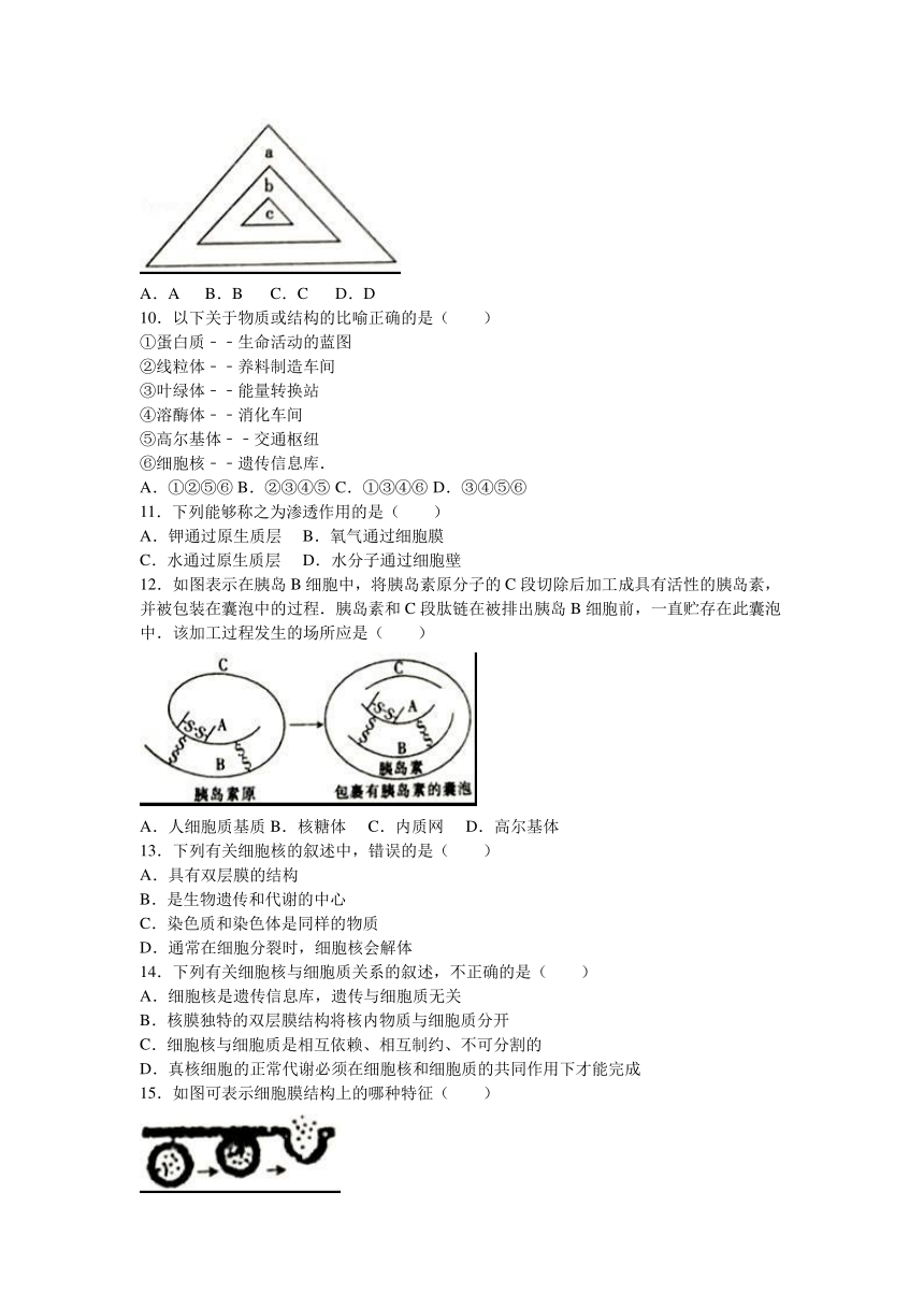 广西河池市示范性高中课改联盟体2016-2017学年高一（上）第二次联考生物试卷（解析版）