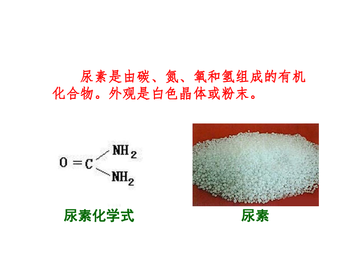 人教版高中生物选修1 专题2 课题2 土壤中分离尿素的细菌的分离与计数 上课课件（共44张ppt）