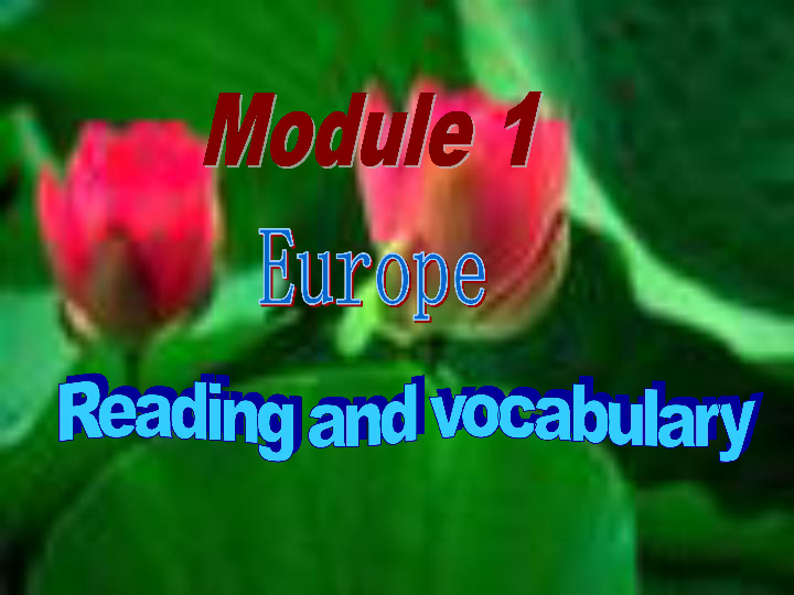 高一英语外研版必修3 module 1 Europe Reading 课件（共24张PPT）