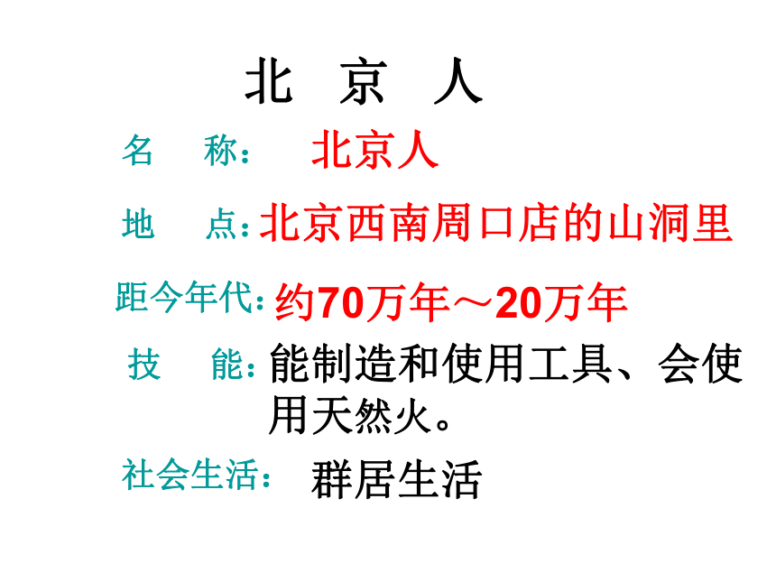 人教版初一历史上册总复习课件41张