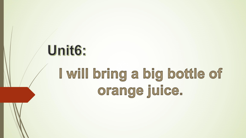 Unit 6 I will bring a big bottle of orange juice 课件(共34张PPT)