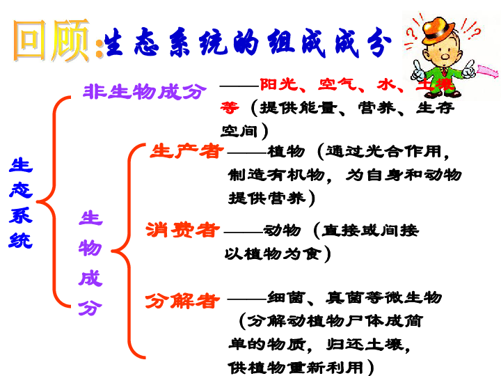 济南版八下生物622食物链和食物网课件20张ppt