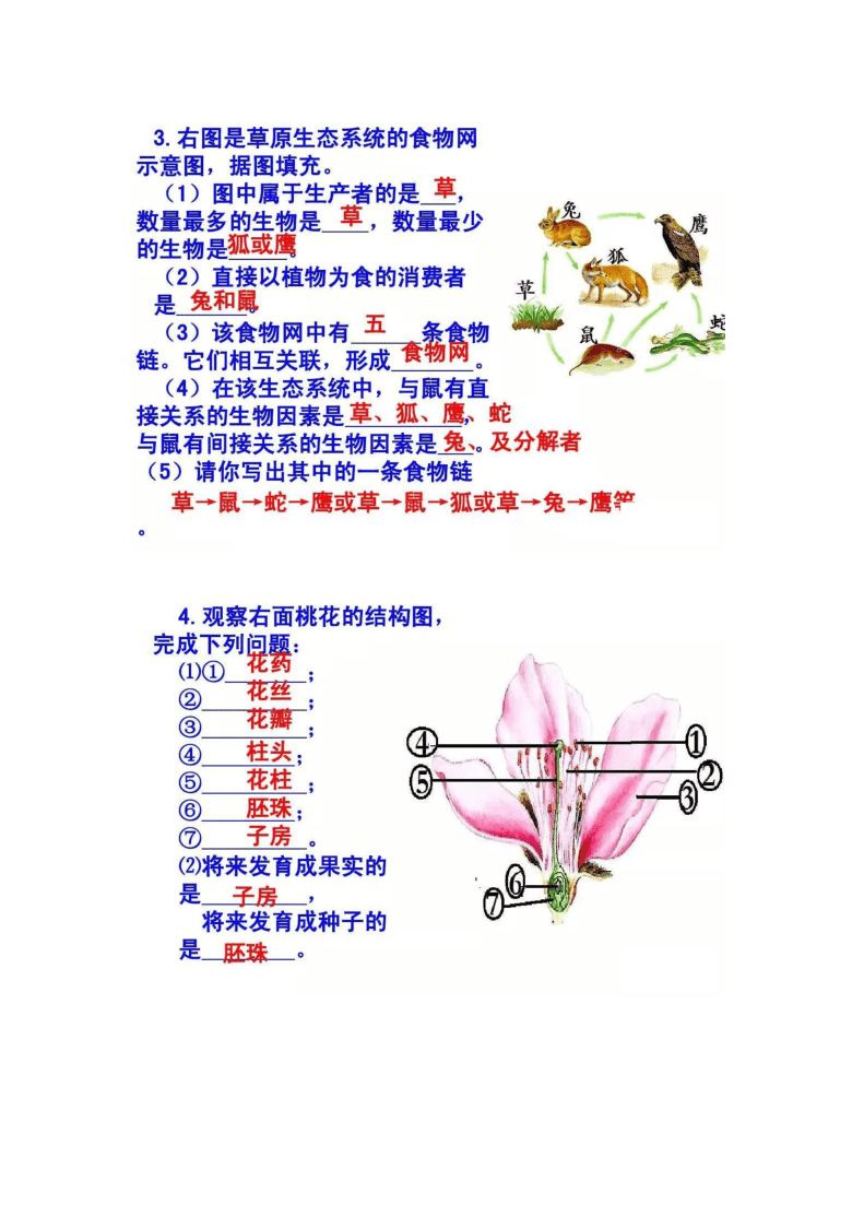 生物中考必考图题图片