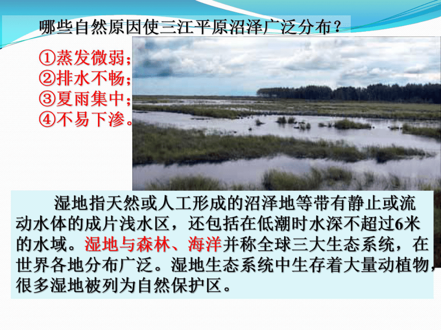 高中人教版地理必修3问题研究 为什么停止开发“北大荒”（25张ppt）