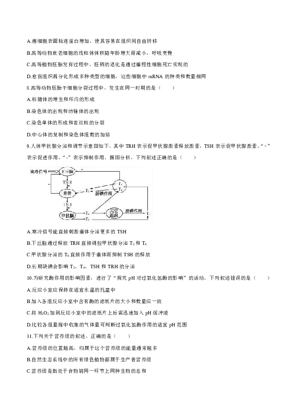 2020年浙江卷生物高考试题（word版，含答案）
