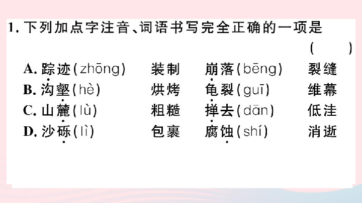 人教版初中语文八年级下册第二单元8时间的脚印 习题课件（25张）