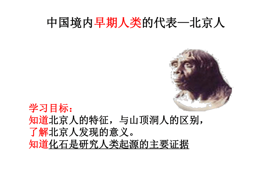 人教部编版七年级上册历史课件第1课中国境内早期人类的代表—北京人  (共34张PPT)
