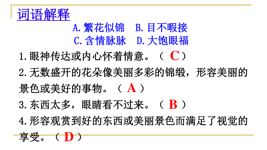 彩色的非洲课件 (共40张PPT)