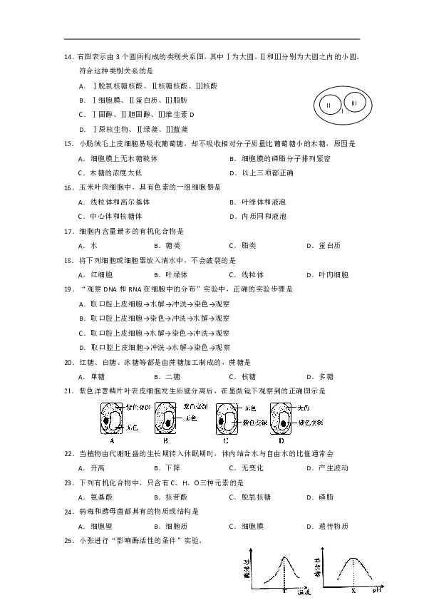 广东省第二师范学院番禺附属中学2018-2019学年高一上学期期末考试生物试题