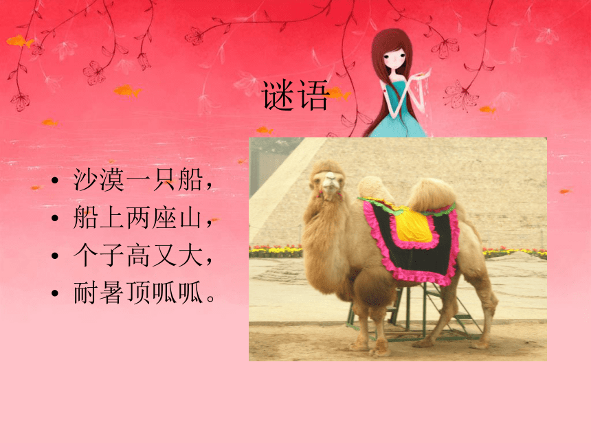 沪教版一年级语文下册《骆驼和羊 1》ppt课件