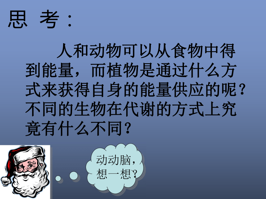 第六节 代谢的多样性(浙江省丽水地区龙泉市)