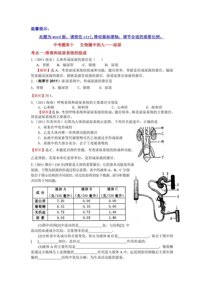 2008-2011全国各地中考生物分类详解中考题库十生物圈中的人——泌尿