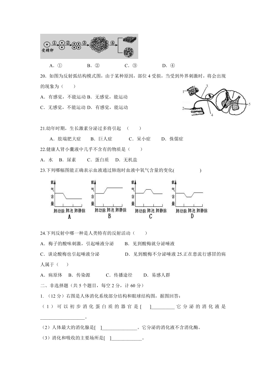 山东省滨州市邹平双语学校2016-2017学年八年级下学期期中考试生物试卷