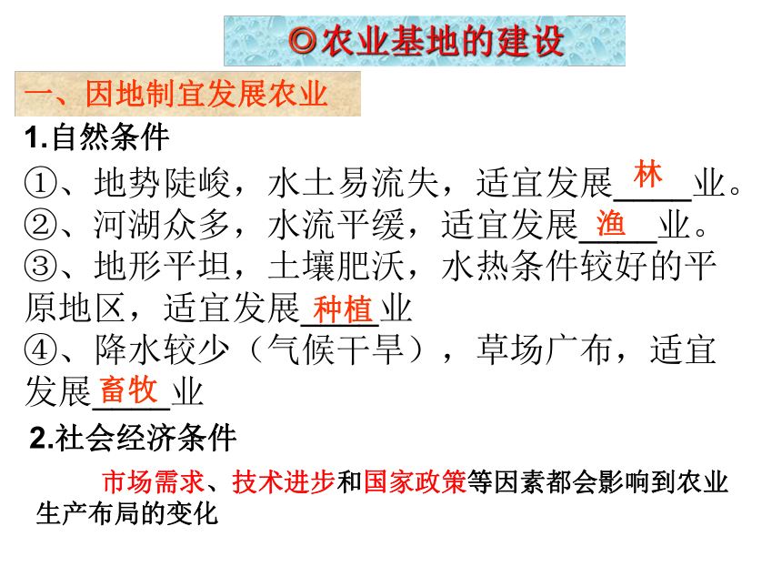 第二节第二课时 《因地制宜发展农业》课件  共19张