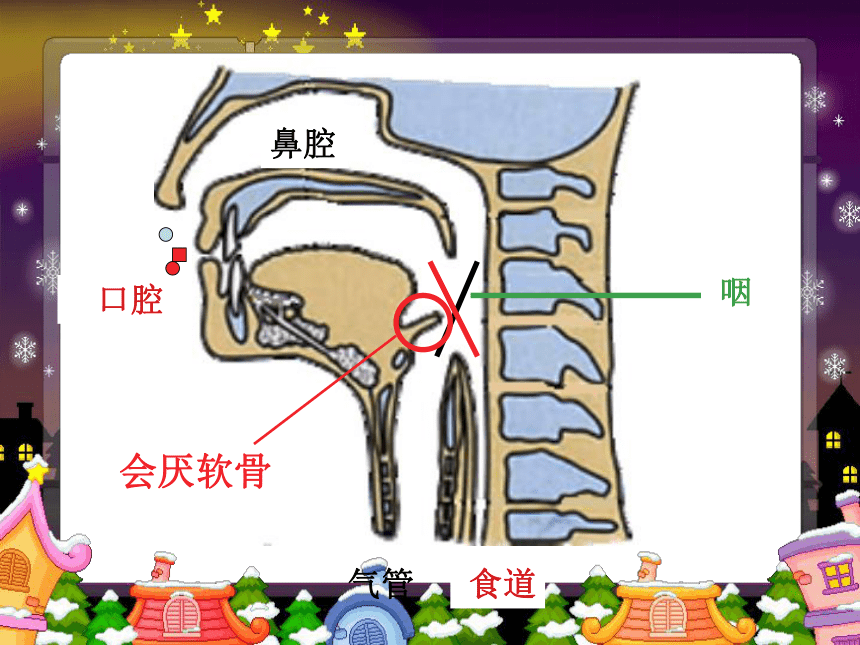 呼吸道对空气的处理课件