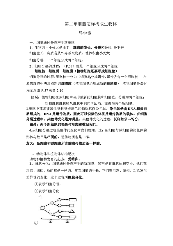 初中生物《细胞怎样构成生物体》复习导学案（无答案）