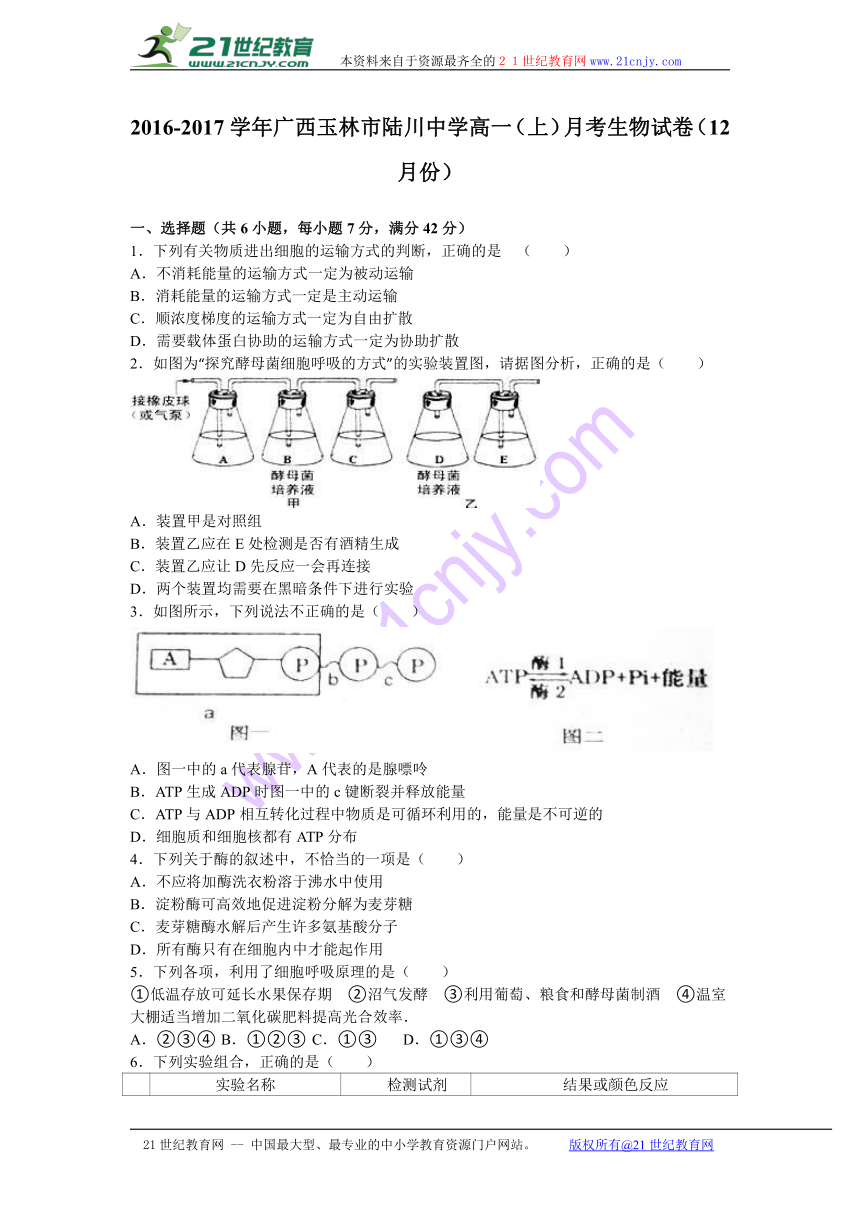 广西玉林市陆川中学2016-2017学年高一（上）月考生物试卷（12月份）（解析版）