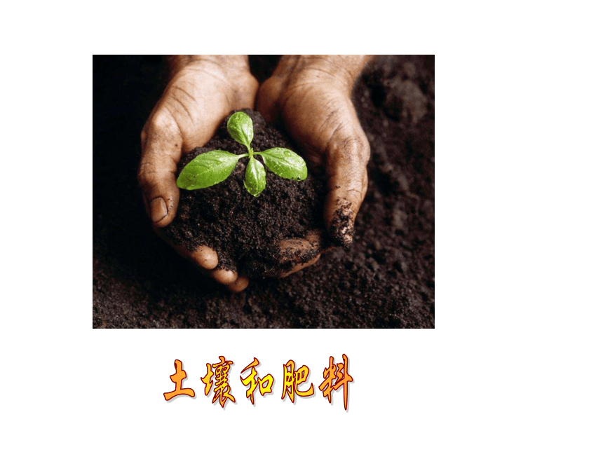 科学五年级上冀教版1.3怎样使植物长得更好课件1