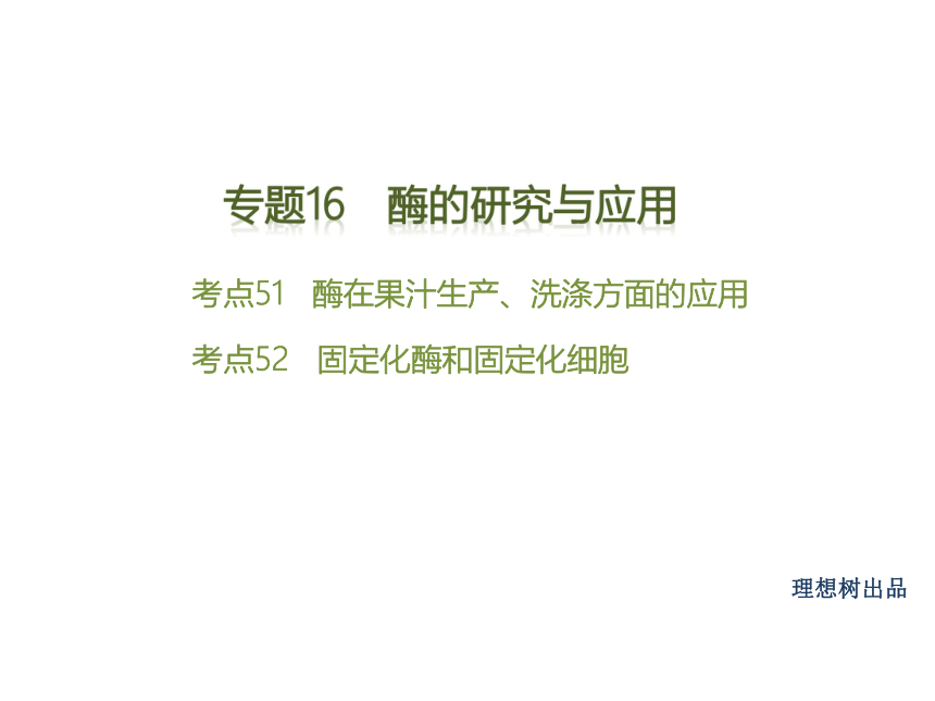 【理想树600分考点 700分考法】 2016届高考生物专题复习课件：专题16　酶的研究与应用（共16张PPT）