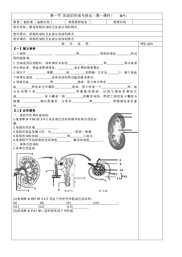 济南版七年级下册生物导学案：4.1 尿液的形成与排出 第一课时