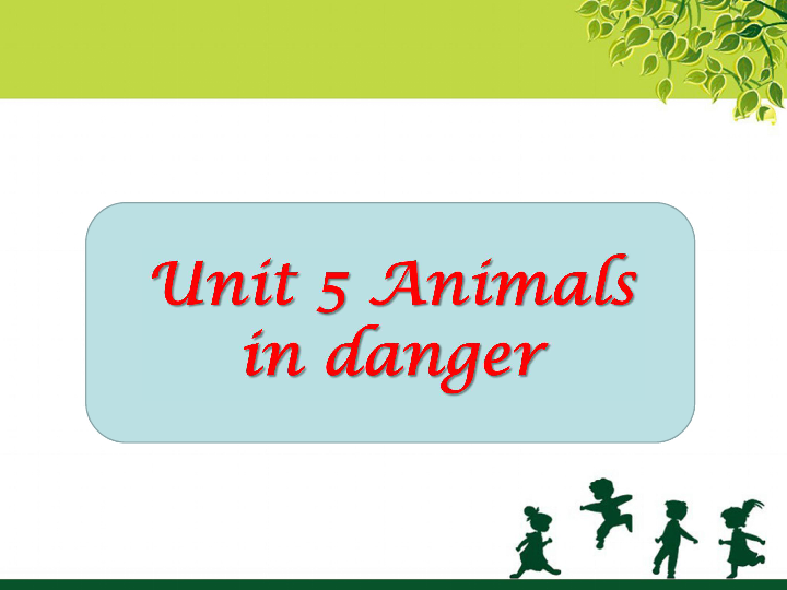 Unit 5 Animals in danger 课件(共14张PPT)