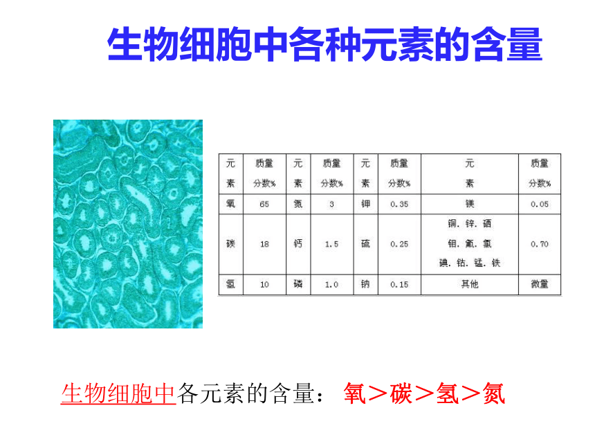 课题3 元素 课件(共26张PPT)