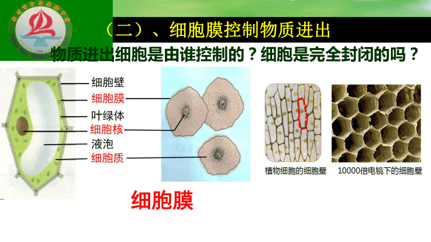 滴,取(刮,涂,盖,染,吸动物细胞基本结构细胞膜细胞质细胞核线粒体人