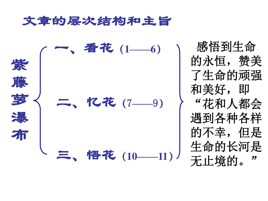 人教版（新课程标准）七年级下册（2016）第五单元17 紫藤萝瀑布