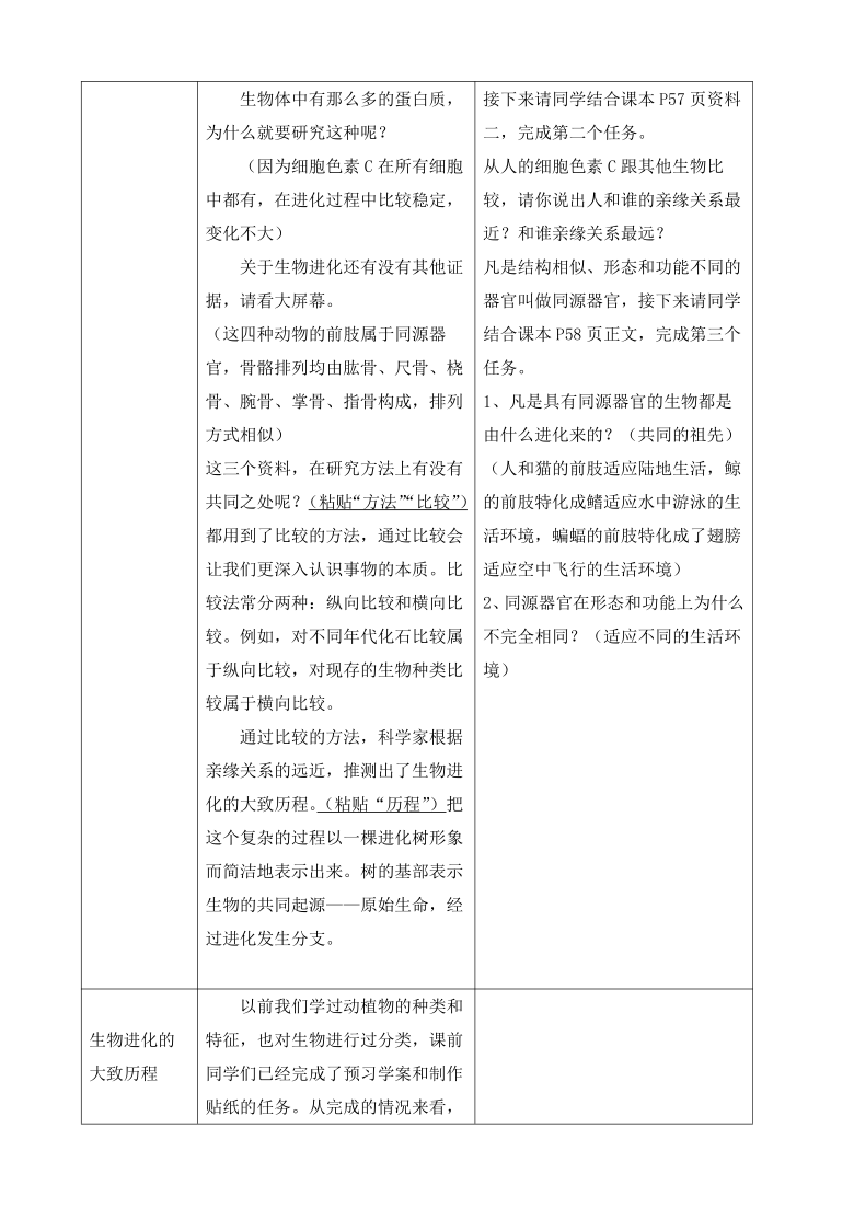 鲁科版（五四制）八年级下册生物 8.3.2生物进化的历程 教案