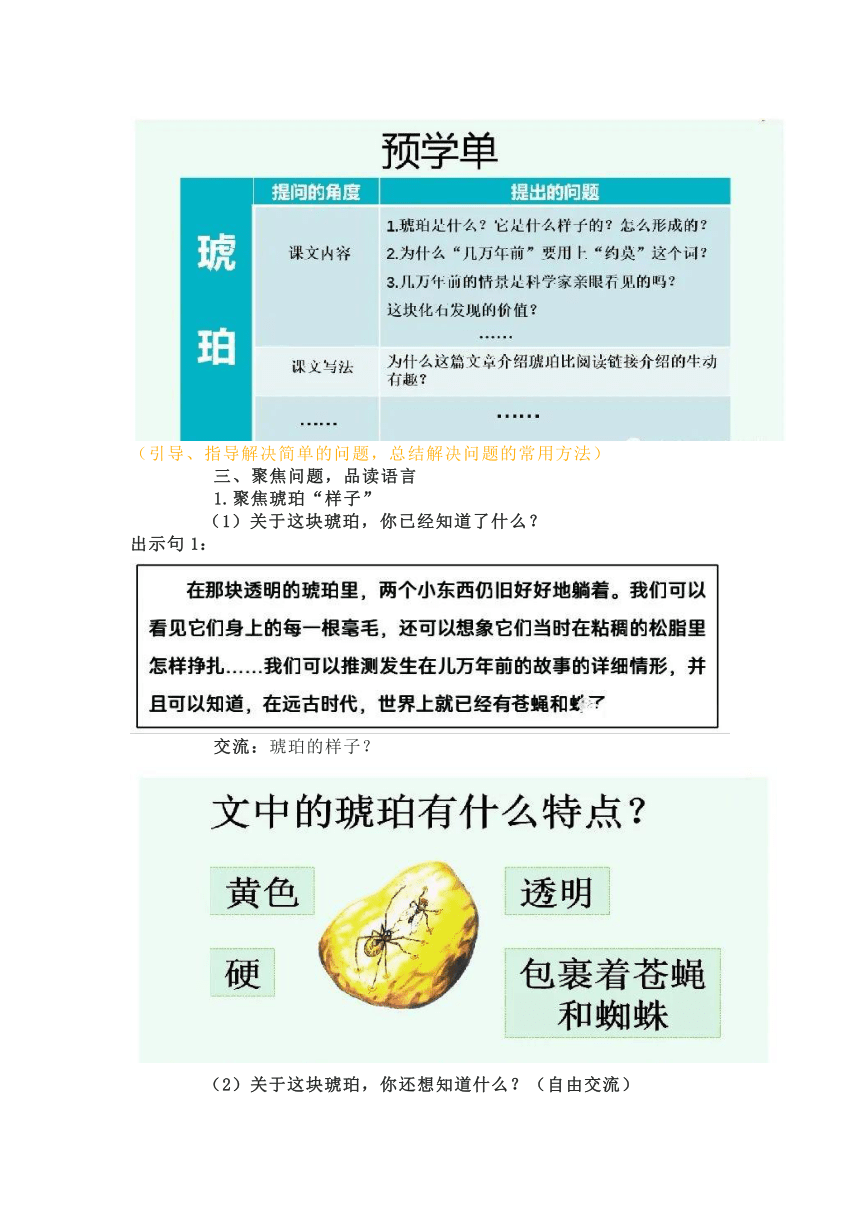 琥珀提问题图片