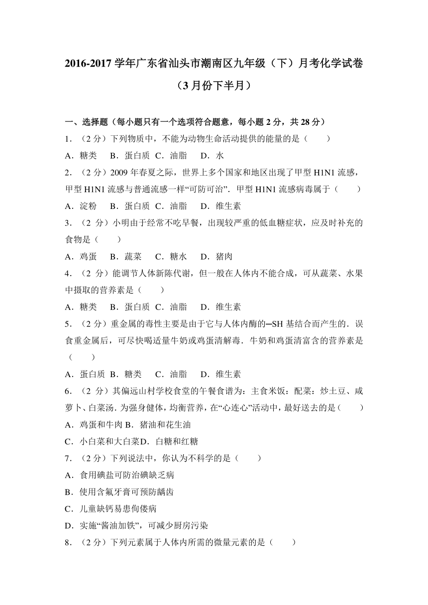 2016-2017学年广东省汕头市潮南区九年级（下）月考化学试卷（3月份下半月）（word版含答案解析）