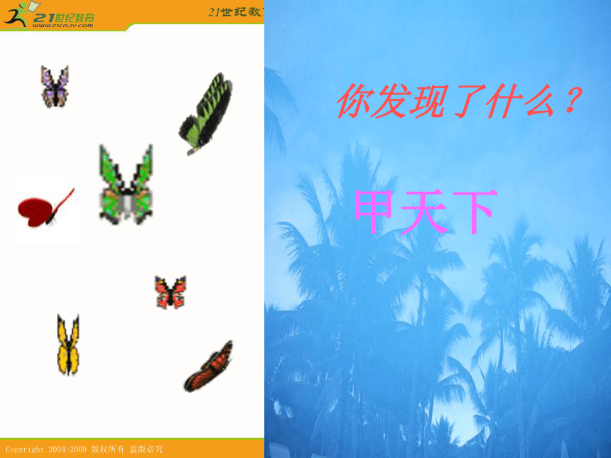 台湾蝴蝶甲天下 1