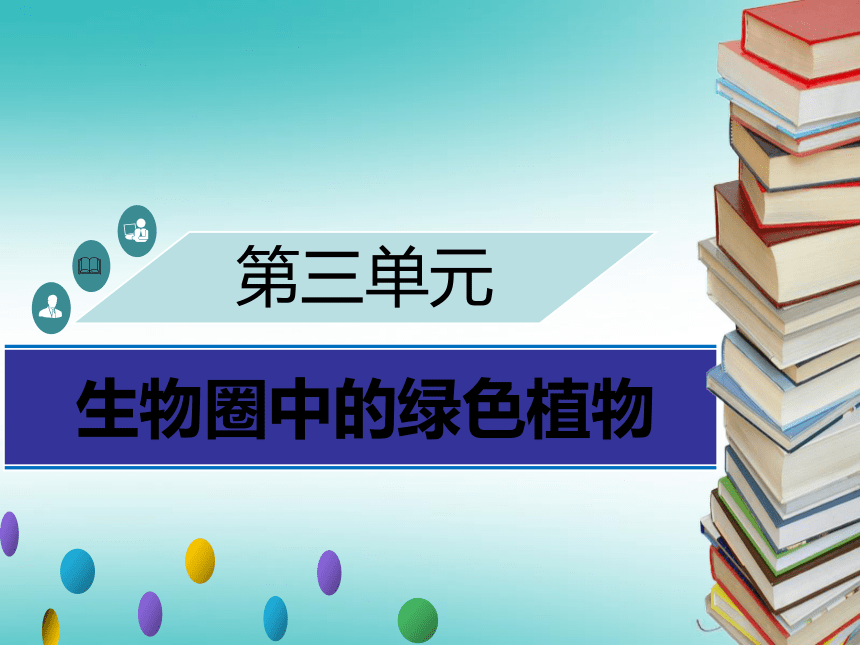 第5章绿色开花植物的生活方式章末小结习题课件（新版）（13张PPT）