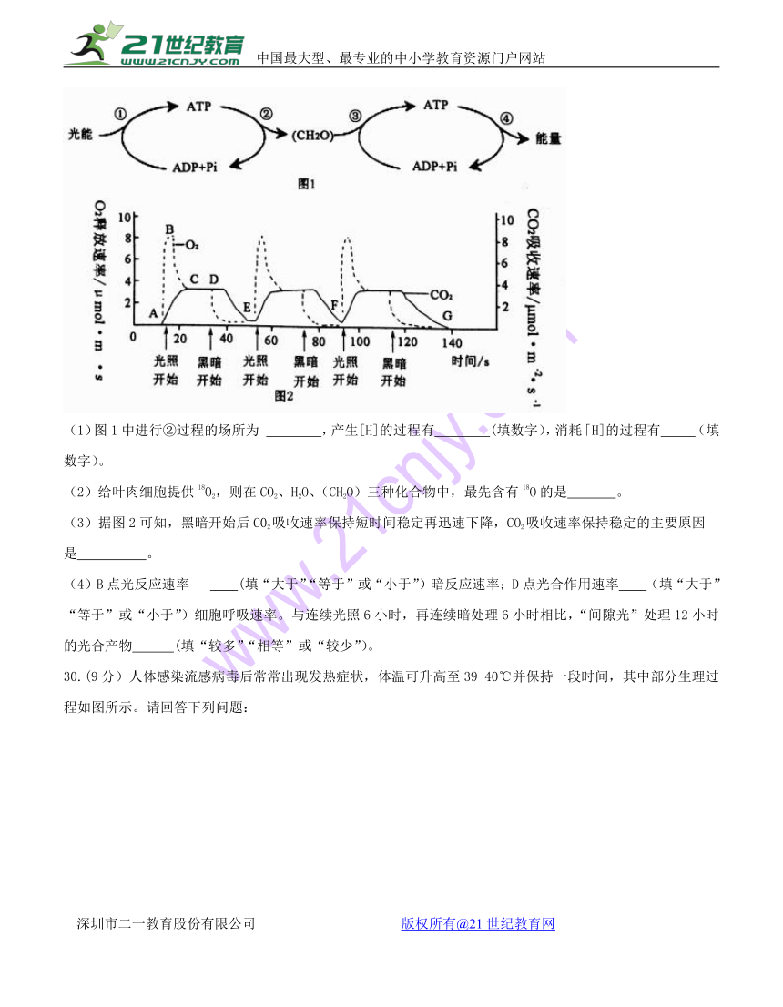 湖北省黄冈市、黄石市等八市2018届高三3月联考 理综生物