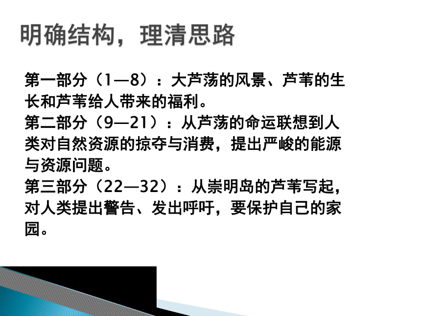 2015——2016上海教育出版社语文八年级上册第四单元课件：第13课《大芦荡_你还在守望吗？》（共19张PPT）