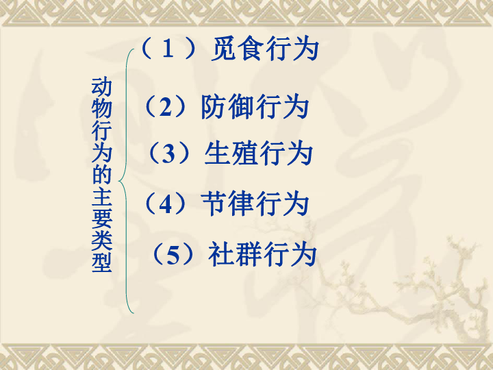 苏教版八上生物 18.1 动物行为的主要类型 课件（共18张PPT）