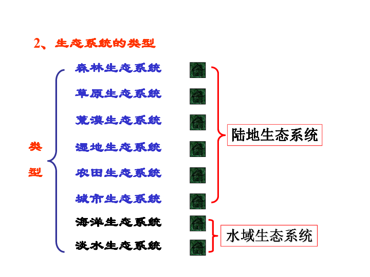 2.4 生态系统的结构和功能 课件(共36张PPT)