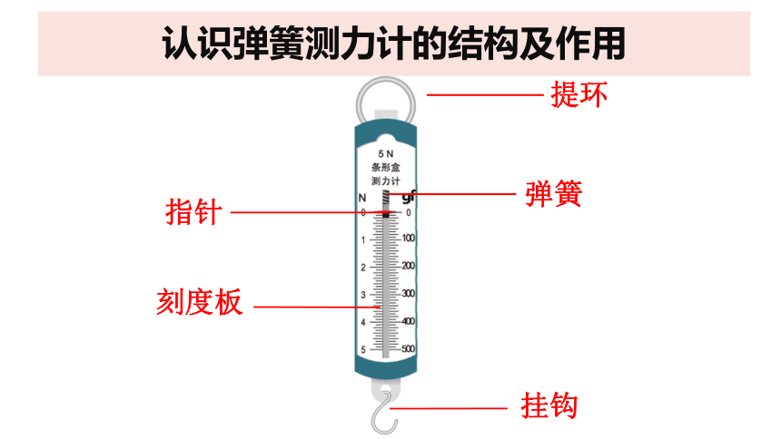 教科版（2017秋） 三年级上册科学3.4.《弹簧测力》 （课件21ppt+视频）
