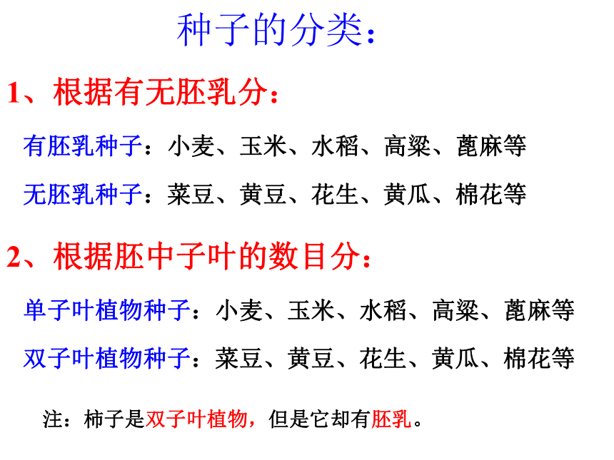 科学三年级下苏教版2植物的一生课件6