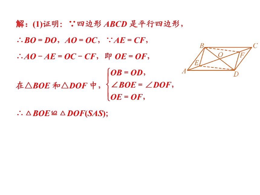 6.3 特殊的平行四边形  复习课件