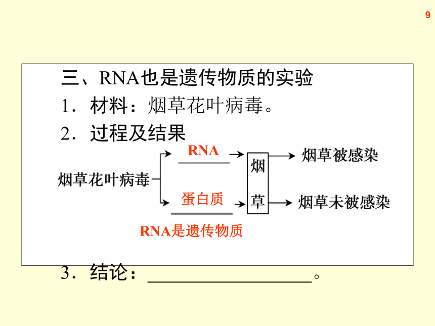 【原创】2013届高三生物复习课件-- - DNA是主要的遗传物质