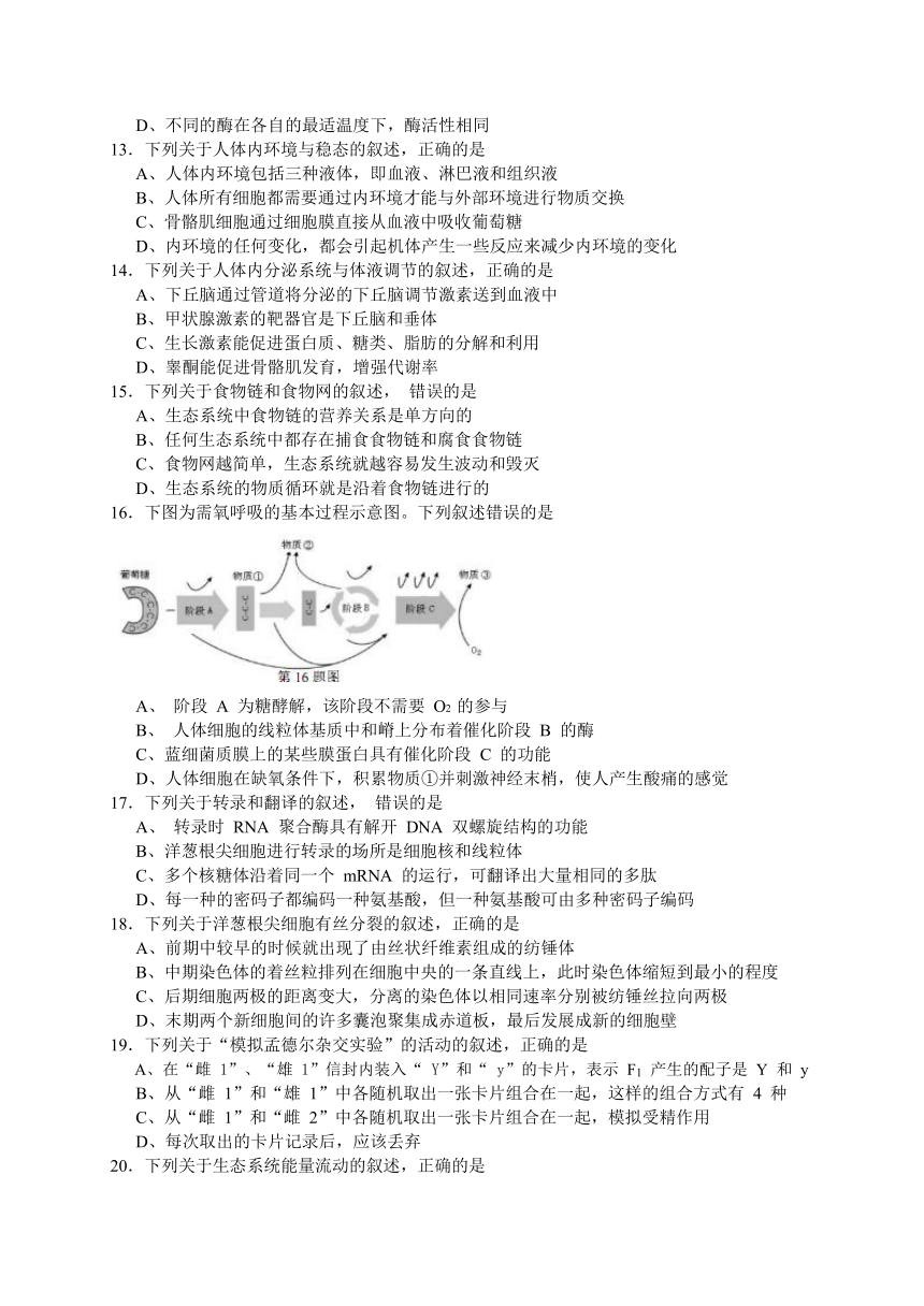 浙江省“七彩阳光”联盟2019届高三上学期期初联考生物试题（WORD版）