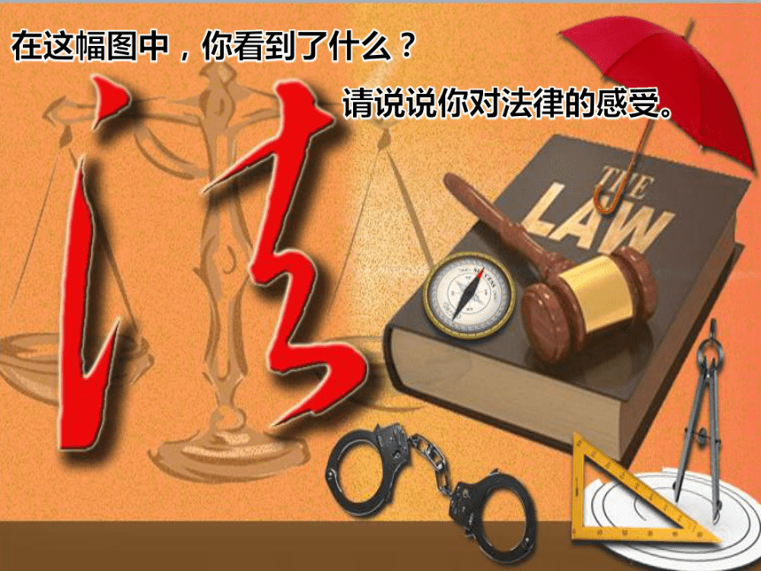 4.9.2 法律保障生活课件（26张ppt）
