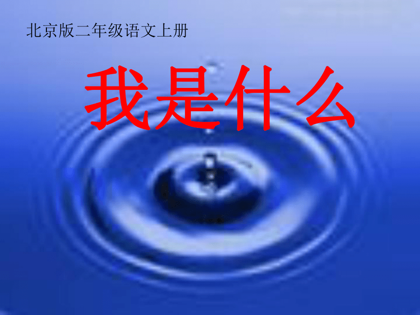 北京版二年级语文上册《我是什么 3》ppt课件