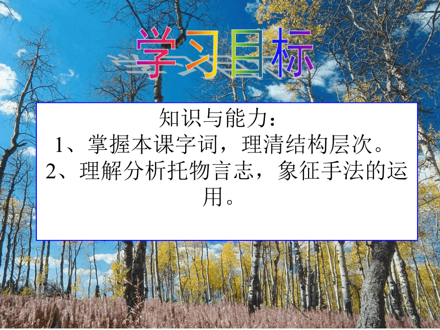 2015-2016学年度北京课改版八年级语文（下）第五单元第17课《白杨礼赞》课件（58张PPT）（共58张PPT）