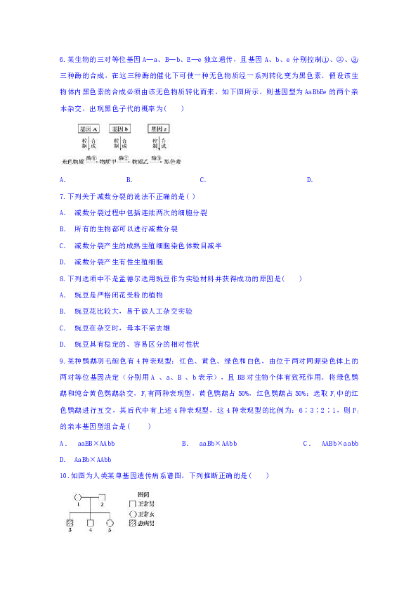安徽省定远县第三中学2018-2019学年高一下学期第三次检测生物试题