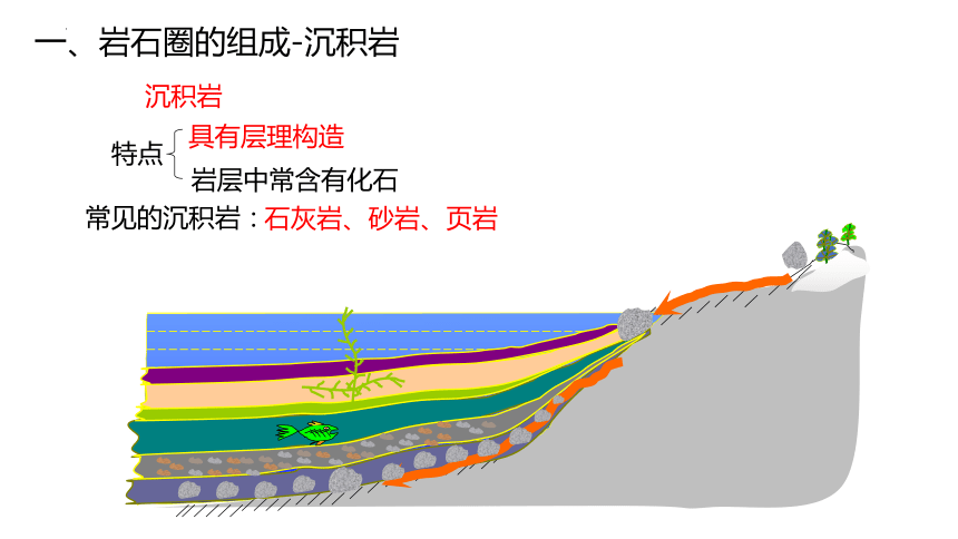 丙类岩石具有层理构造                   d