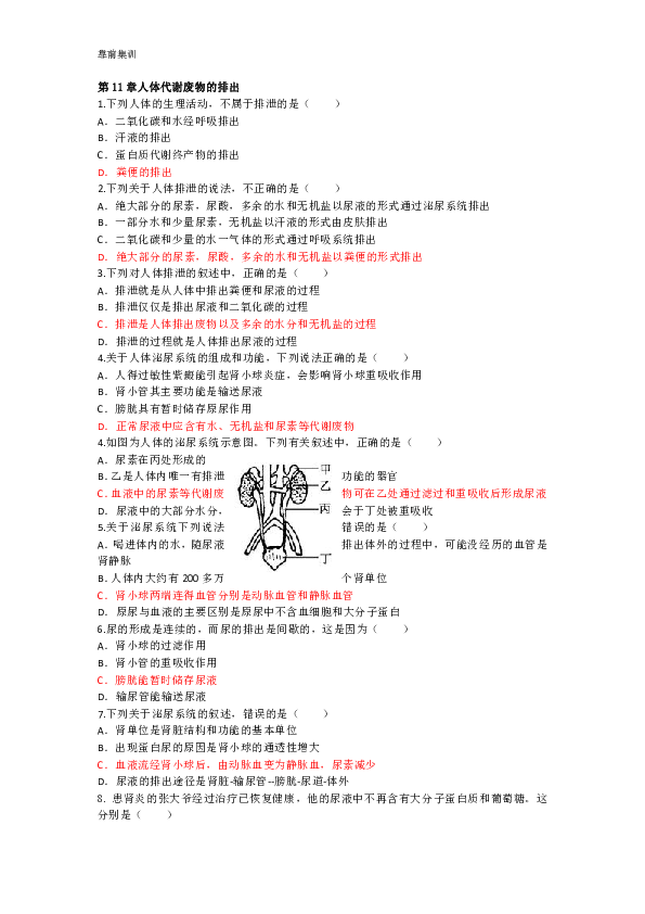 考前集训第11章人体代谢废物的排出试题