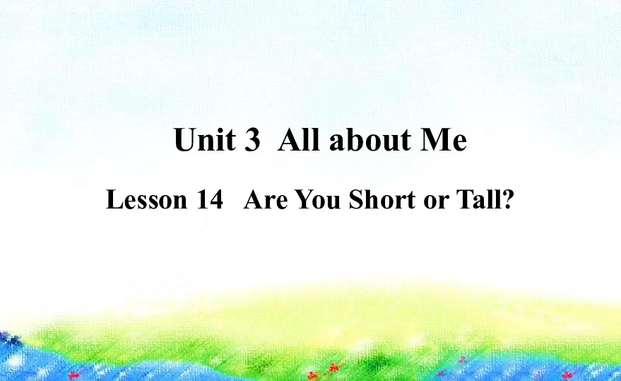 Lesson 14 Are You Short or Tall课件 (共18张PPT，无音视频)